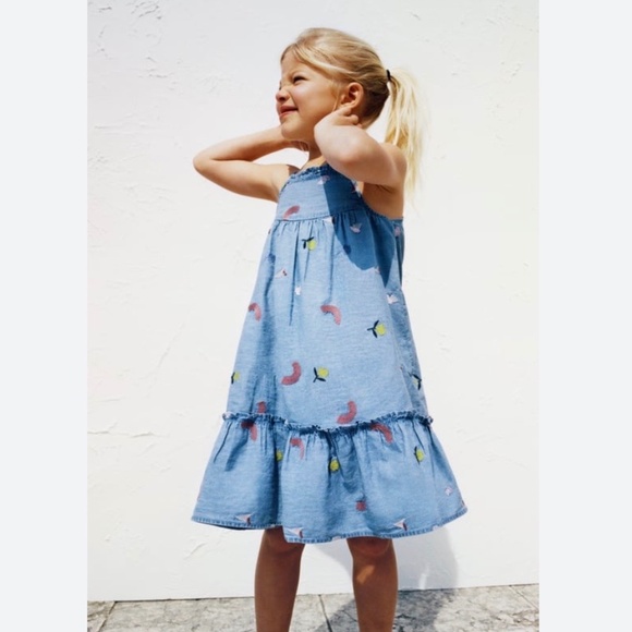NWT Zara Embroidered Denim Dress